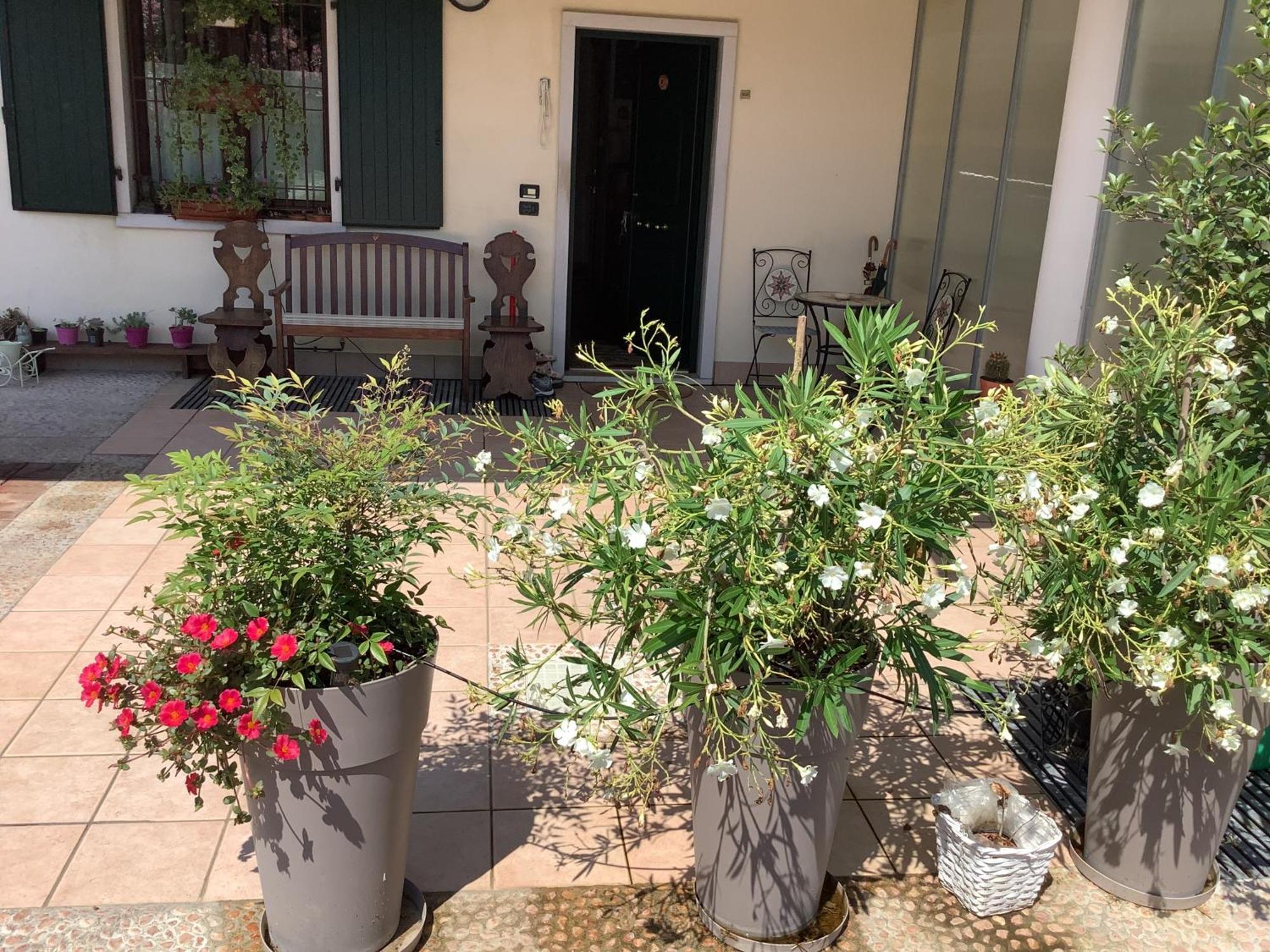 Edyshome Peschiera del Garda Exterior photo